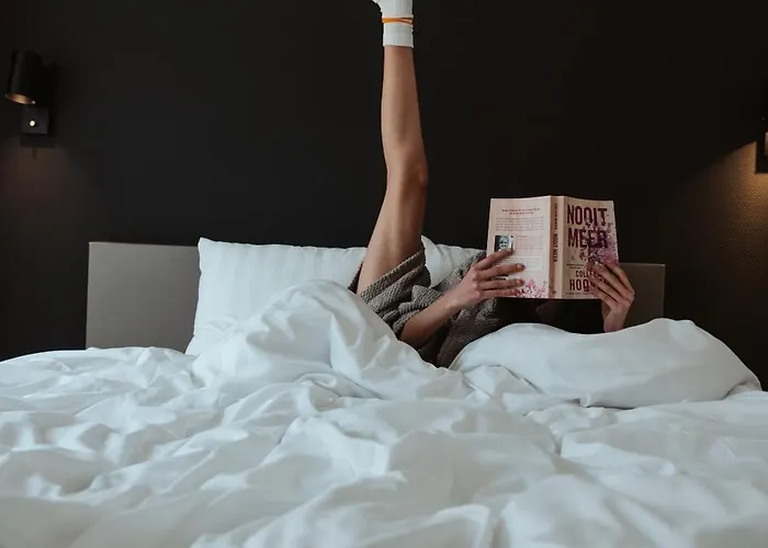 Janssen 法尔肯堡